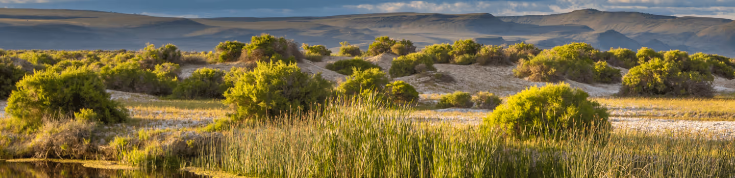 Wild & Scenic Film Festival