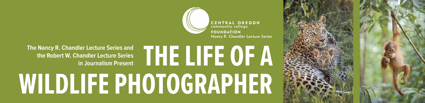 The Life of a Wildlife Photographer Suzi Eszterhas – Award-Winning Wildlife Photographer