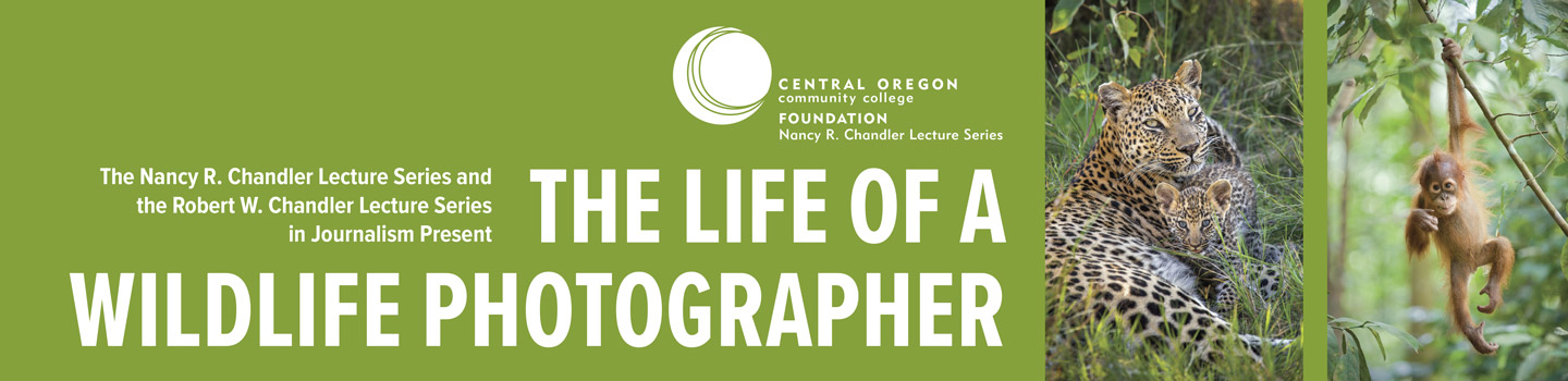  The Life of a Wildlife Photographer Suzi Eszterhas – Award-Winning Wildlife Photographer
