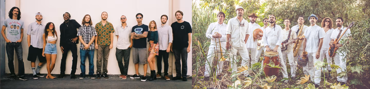 Mitchum Yacoub & Jungle Fire