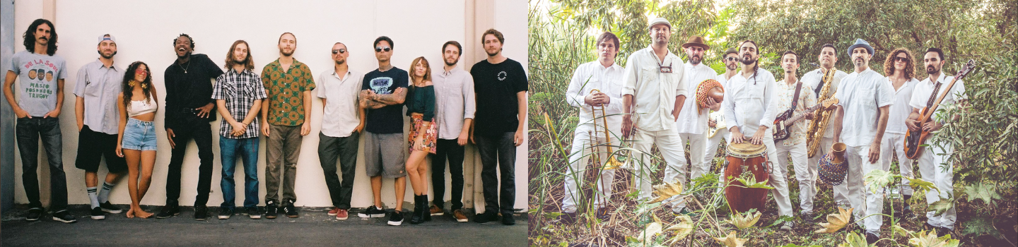 Mitchum Yacoub & Jungle Fire