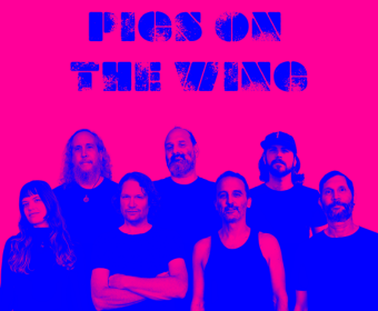 Pigs On The Wing: Beyond Pompeii