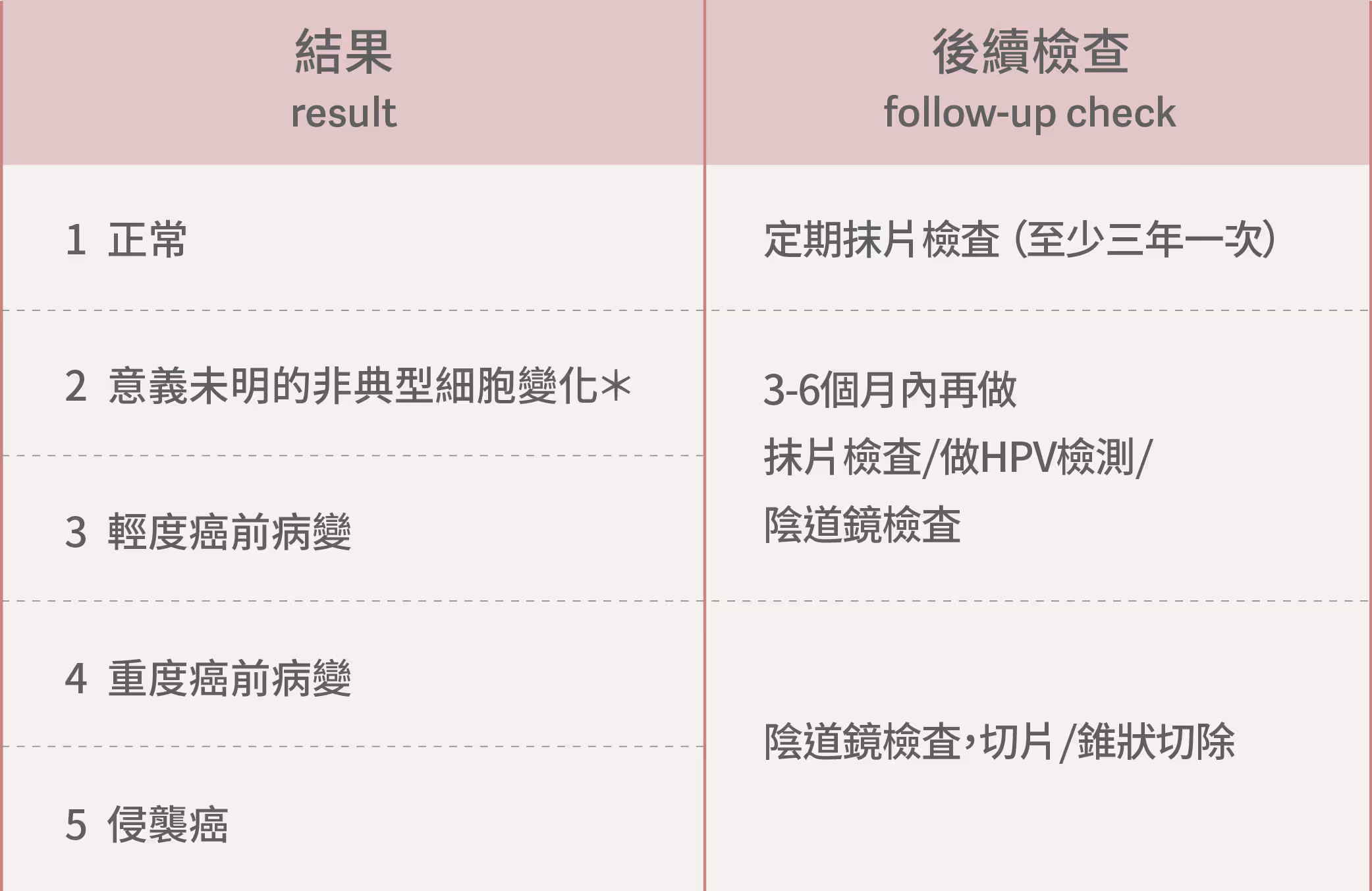 小陰唇介紹