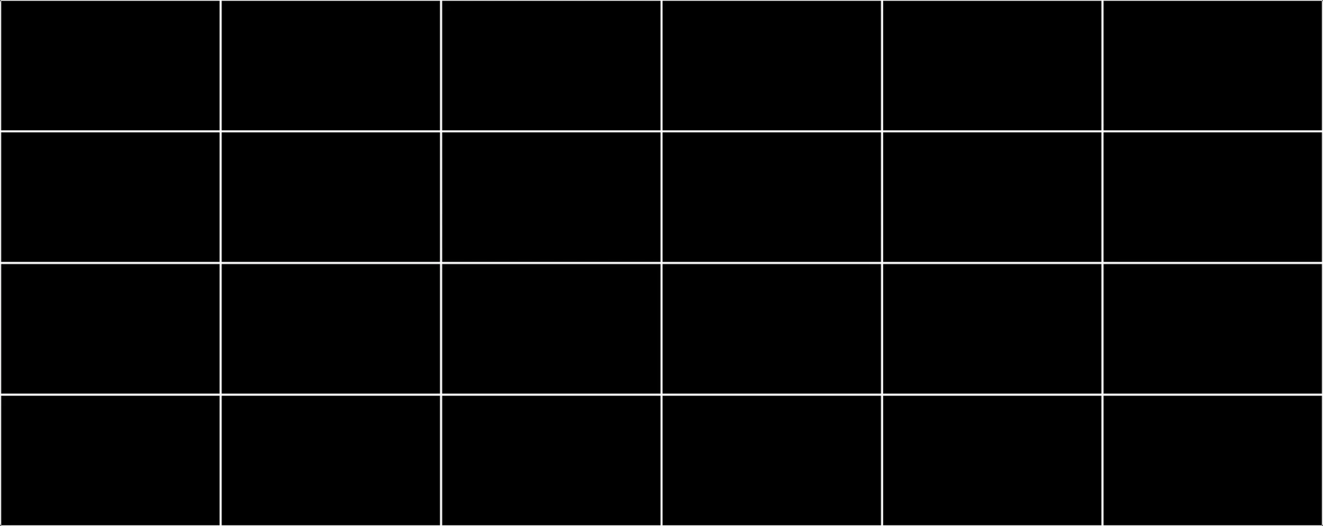 Grid reference image for laser and video alignment: equal cells, white lines and a full border on black