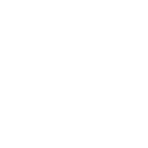 Timmermans Infra