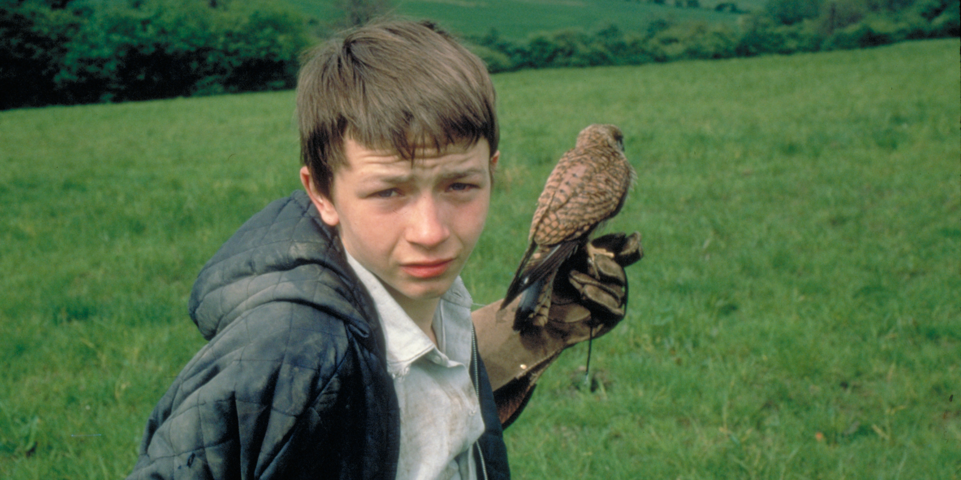 British Film Festival