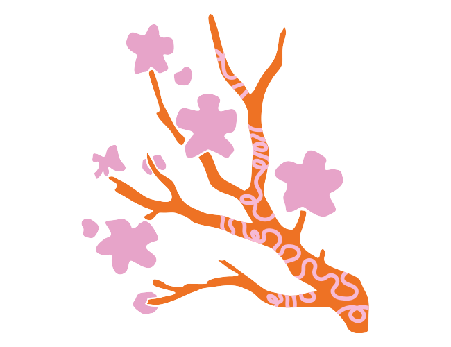 Cherry blossom illustration