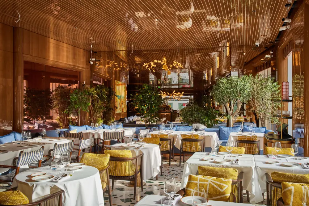 Alba Restaurant Interior