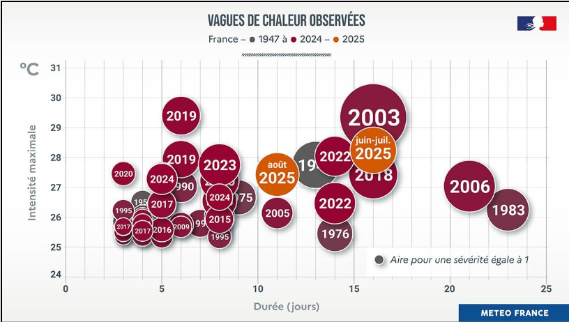 Une image contenant texte, capture d’écran, PoliceLe contenu généré par l’IA peut être incorrect.