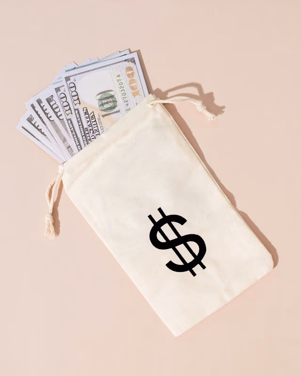 A bag with a money symbol on it with several hundred dollar bills popping out of the top.