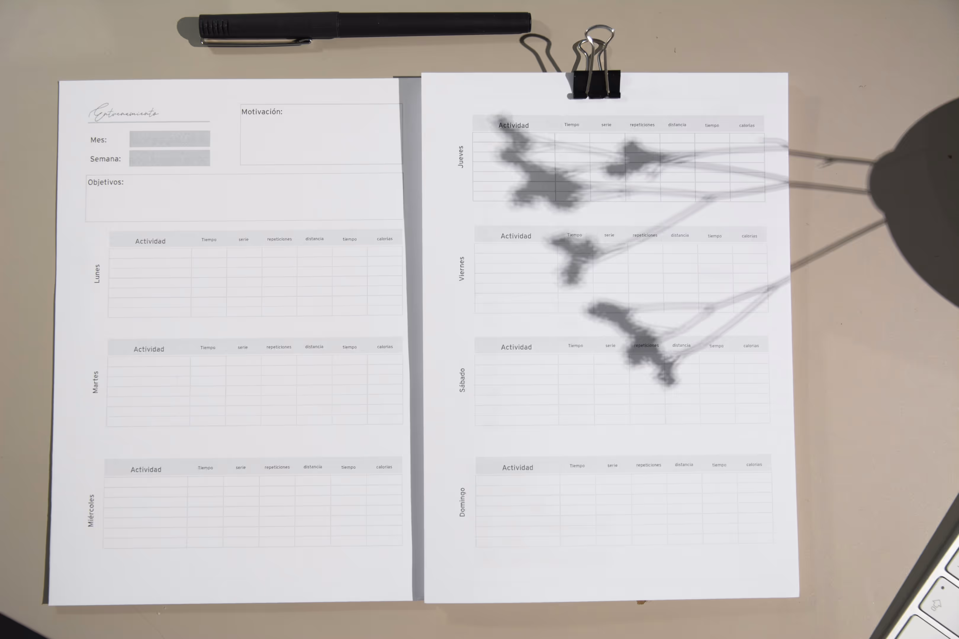 Inventory tracking spreadsheets illustrating manual logistics and fulfillment management challenges.