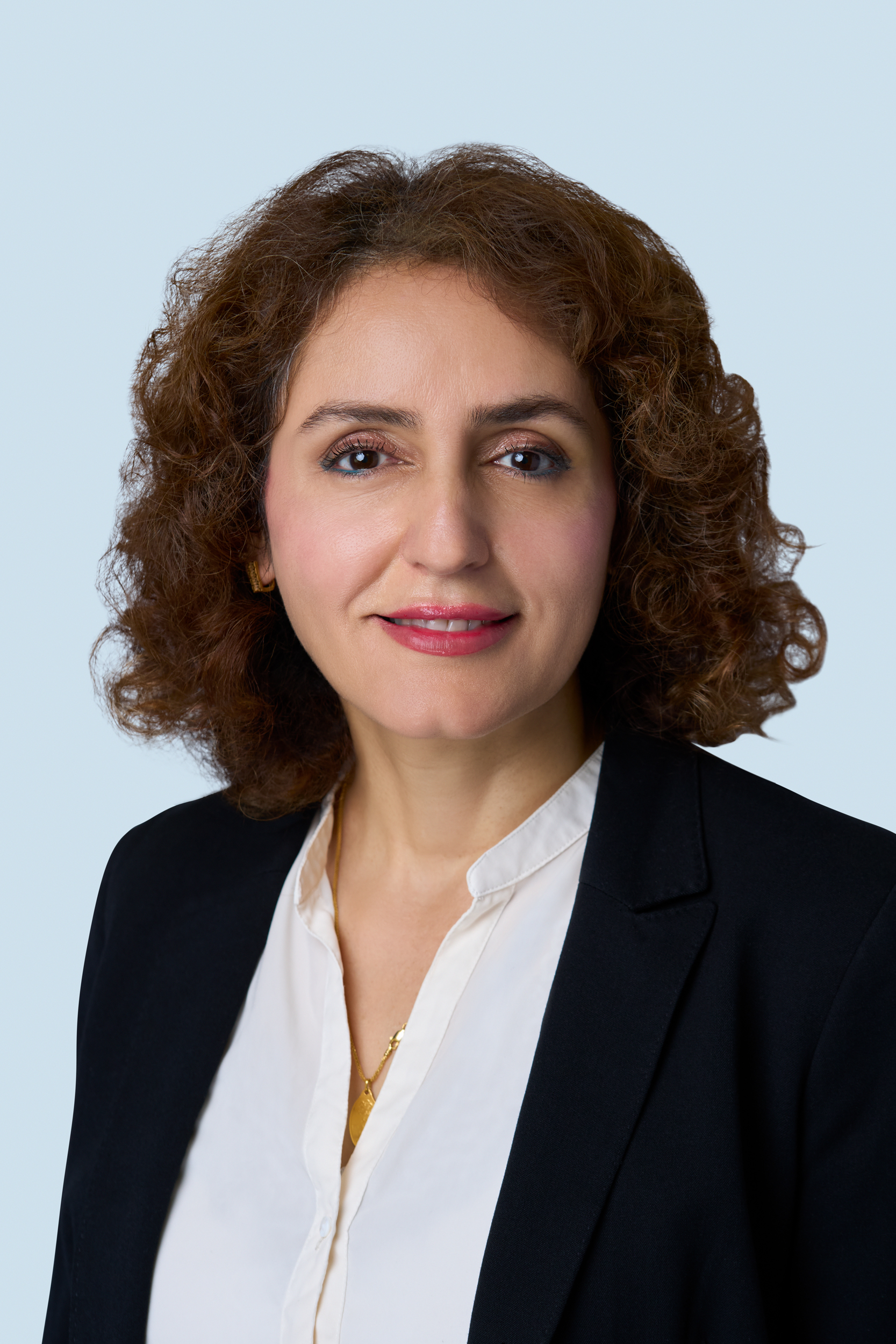 Paiman Ahmed - AutoCAD-Technikerin bei Voltwise Power