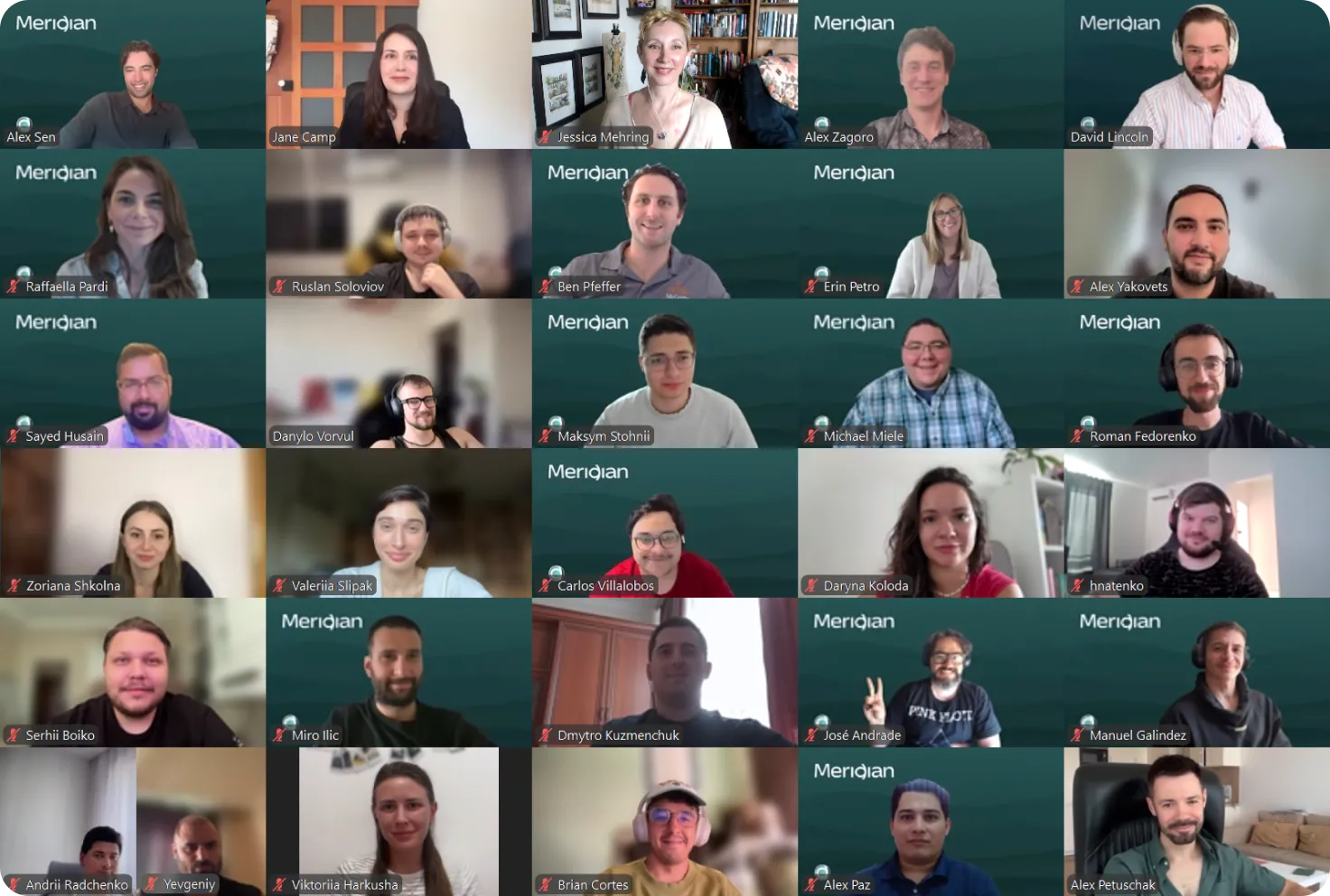 Grid view of 15 people in a virtual video call with various backgrounds, some branded Meridian logos.