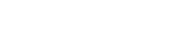 Nexus logo