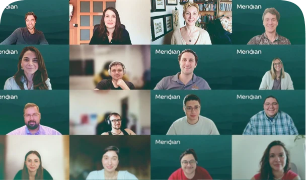 Meridian team on a video call