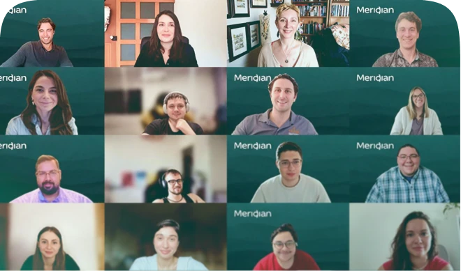 Meridian team on a video call
