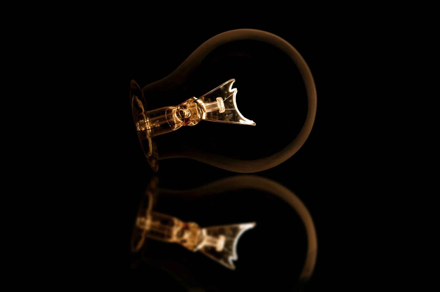 Lightbulb out of socket