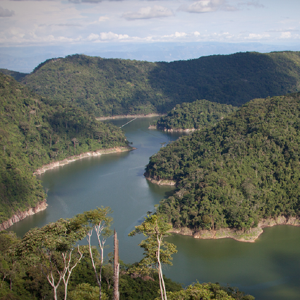 Foto principal del proyecto