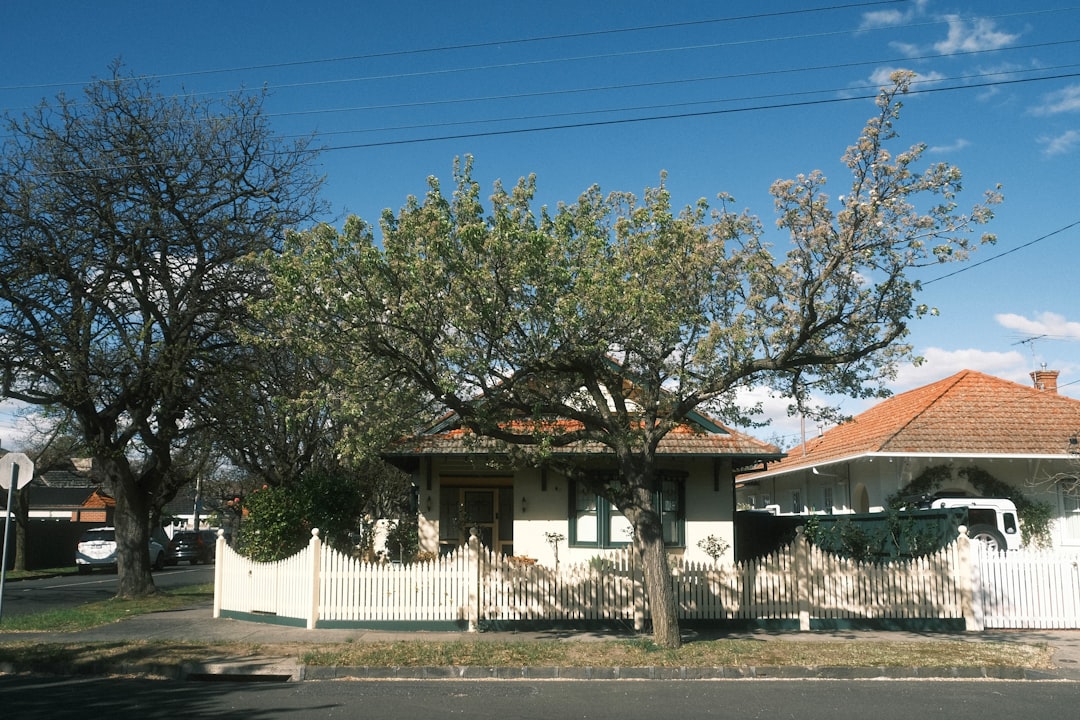 Navigating Magnolia: The Best Real Estate Agencies for Your Journey