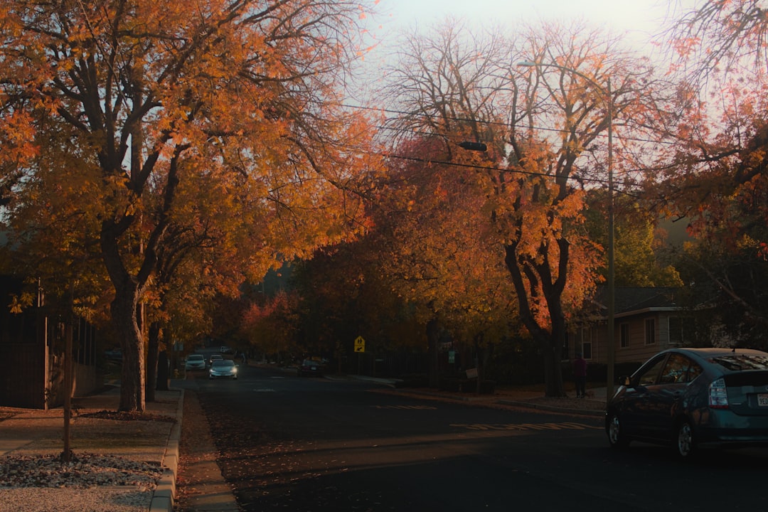 Moving On Up (or Down): Expert Relocation Realtors in Madison Valley