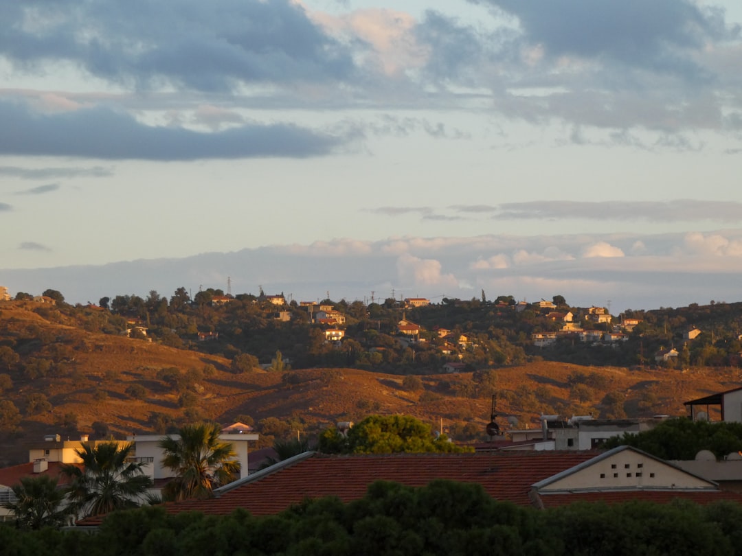 Unlock Sunset Hill: A Buyer's Handbook to Seattle's Hidden Gem