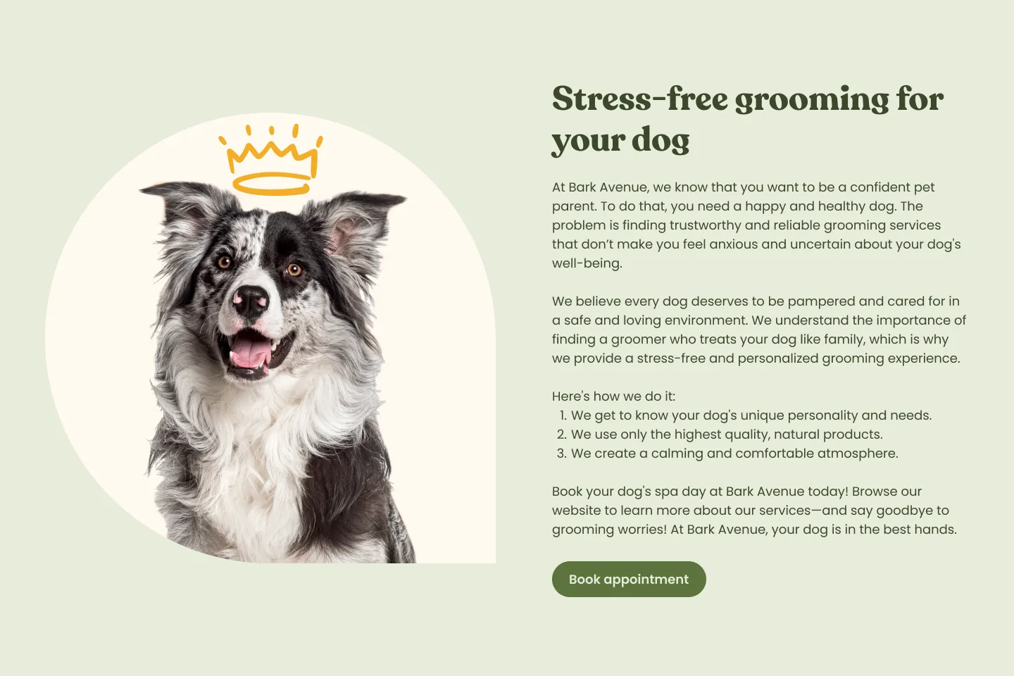 Bark Avenue Home Page Empathy Section