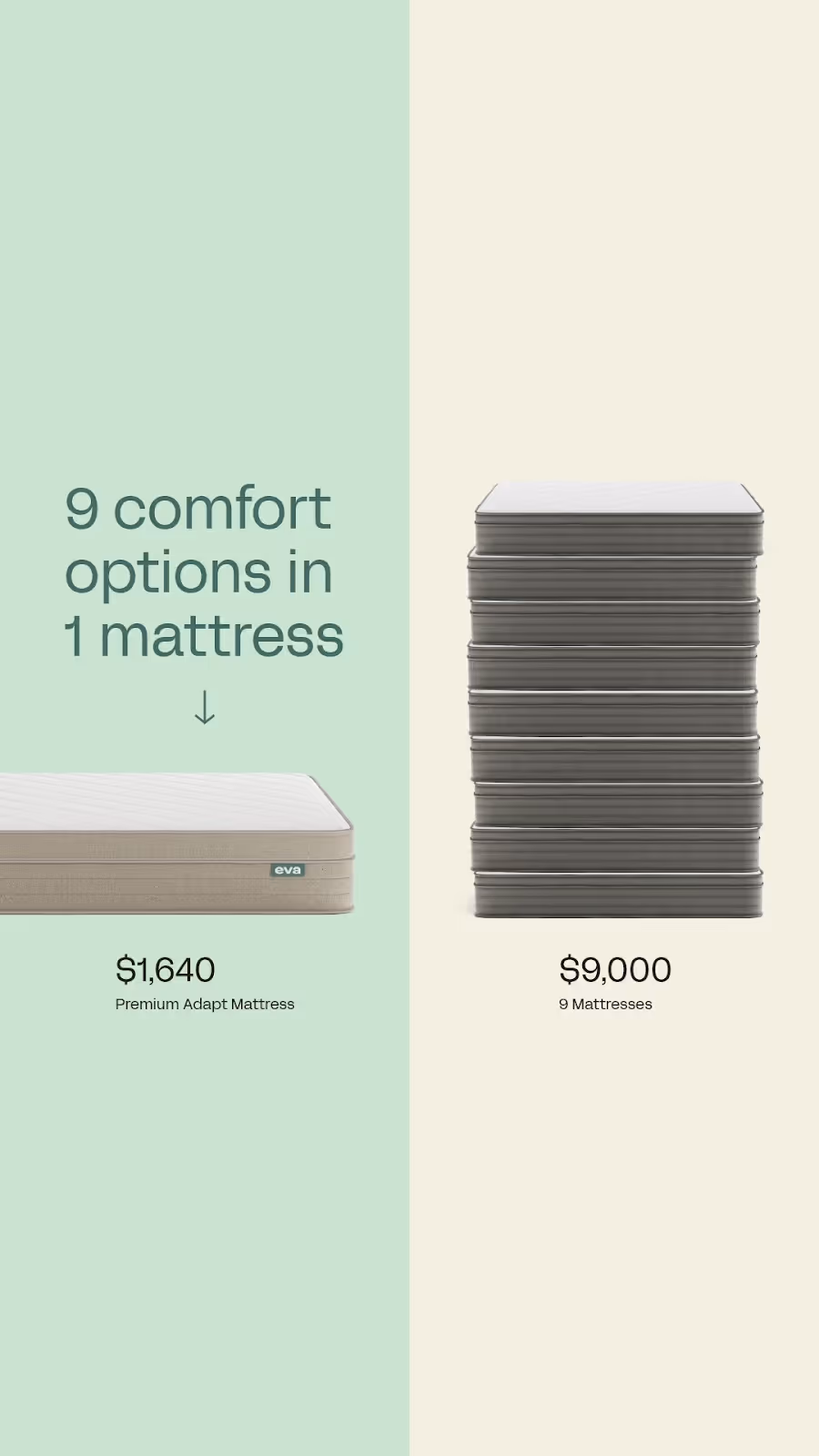 Instagram Ad Example-Eva Home