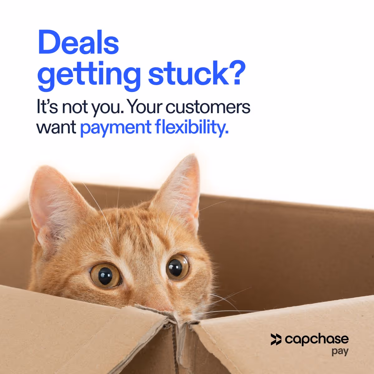 Social Media Ad Example-Capchase