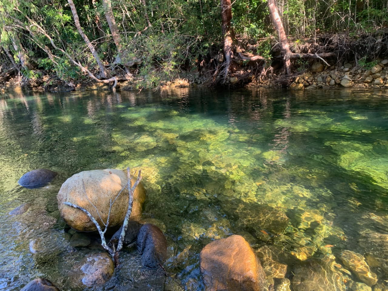 __wf_reserved_inherit