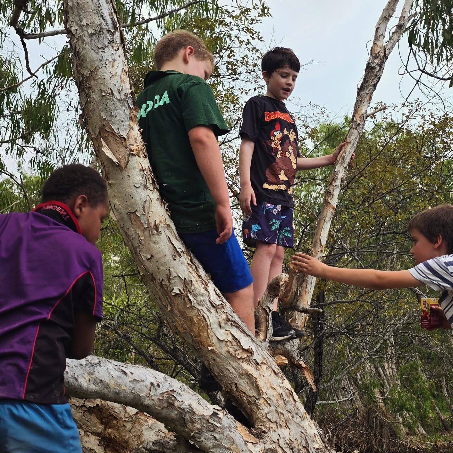 Wrapping Up A Year of Learning, Living And Play