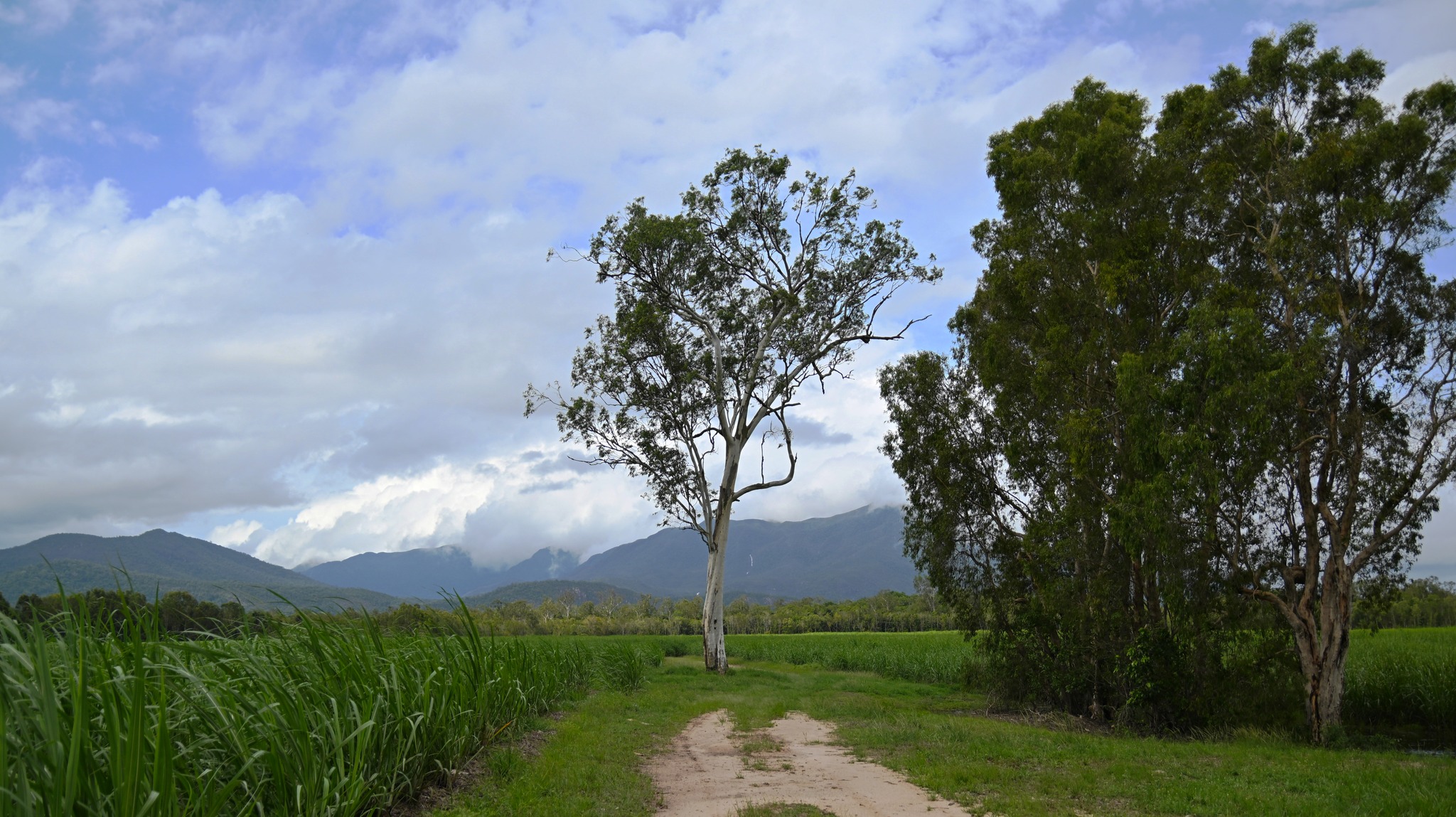 Photo Of The Week 3/2/26