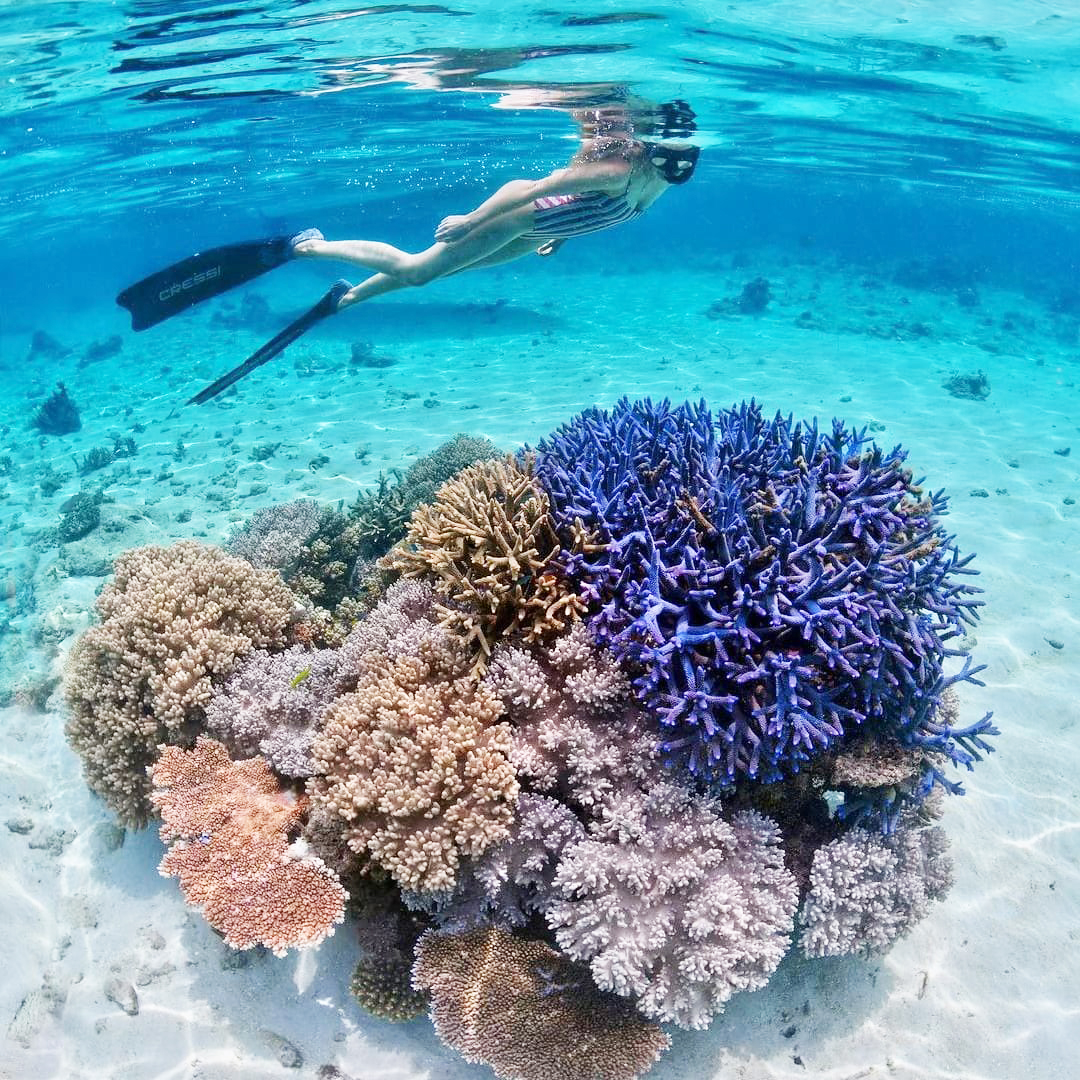 FOCUS Photography Awards Return To Mission Arts For 2026 Exhibition