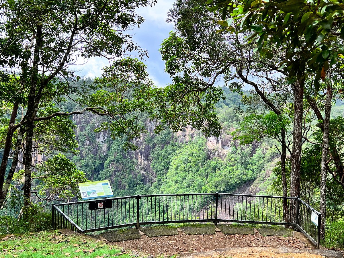 Cassowary Coast National Parks Expanded In Statewide Conservation Push