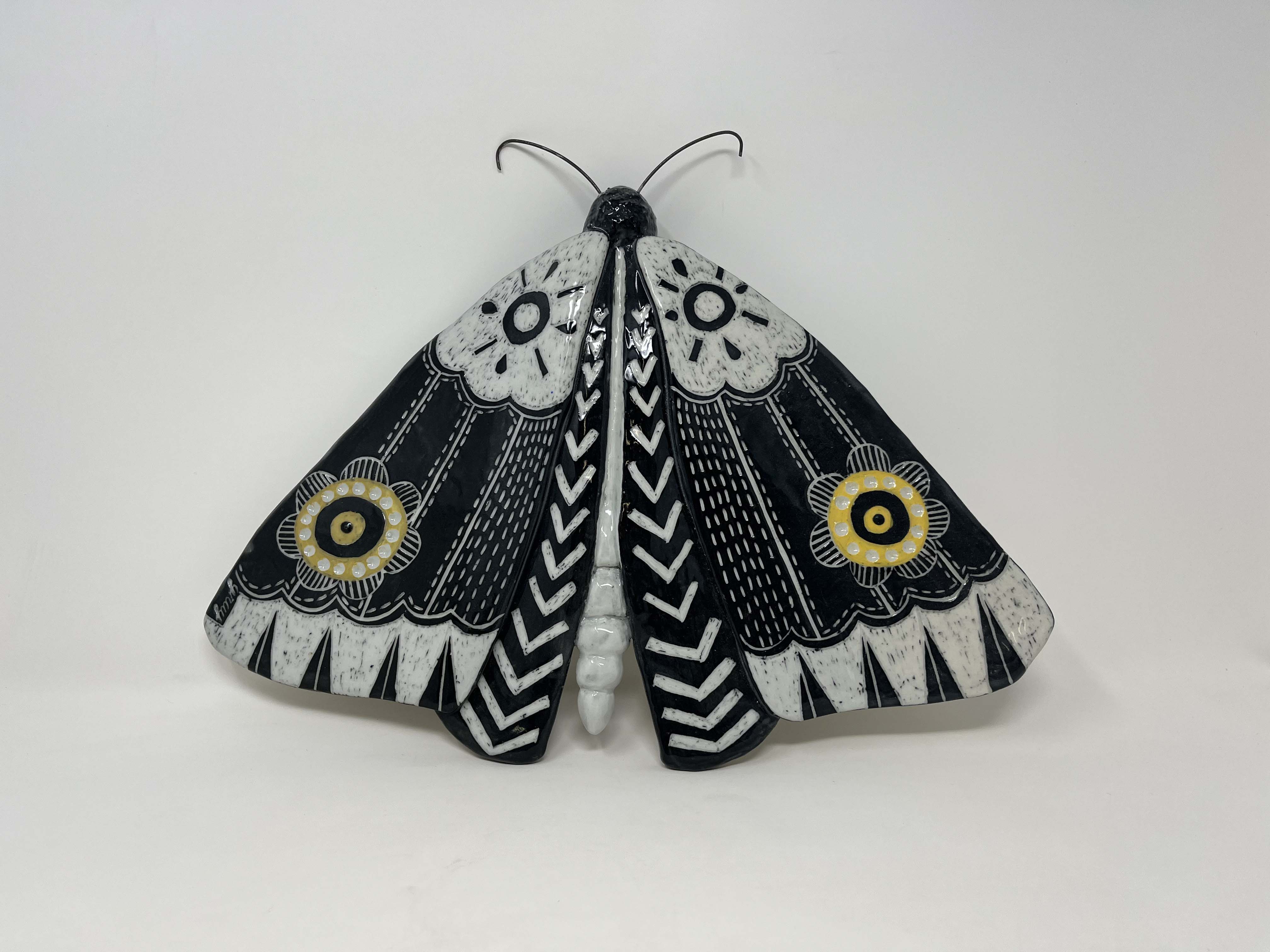 Moth