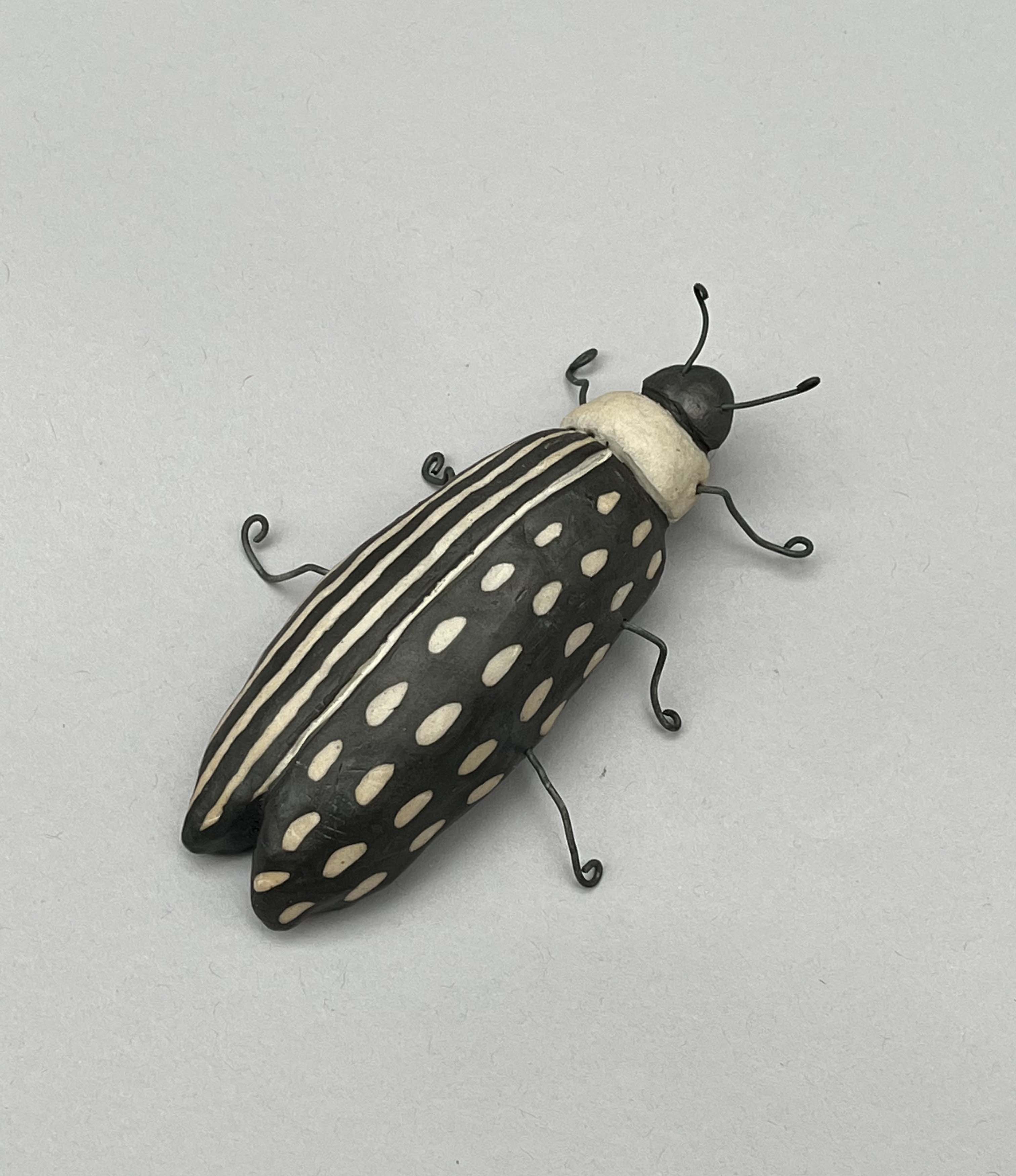 Beetle