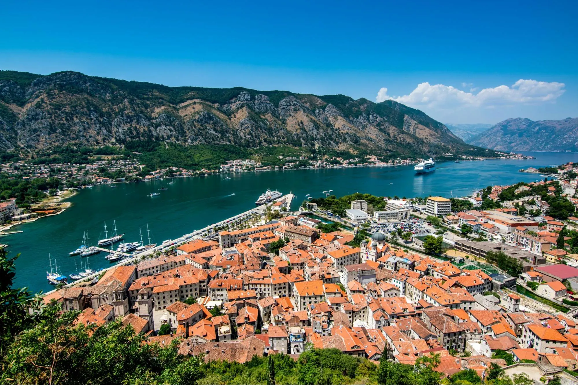 The aerial view of houses near the coast in Kotor, Montenegro.