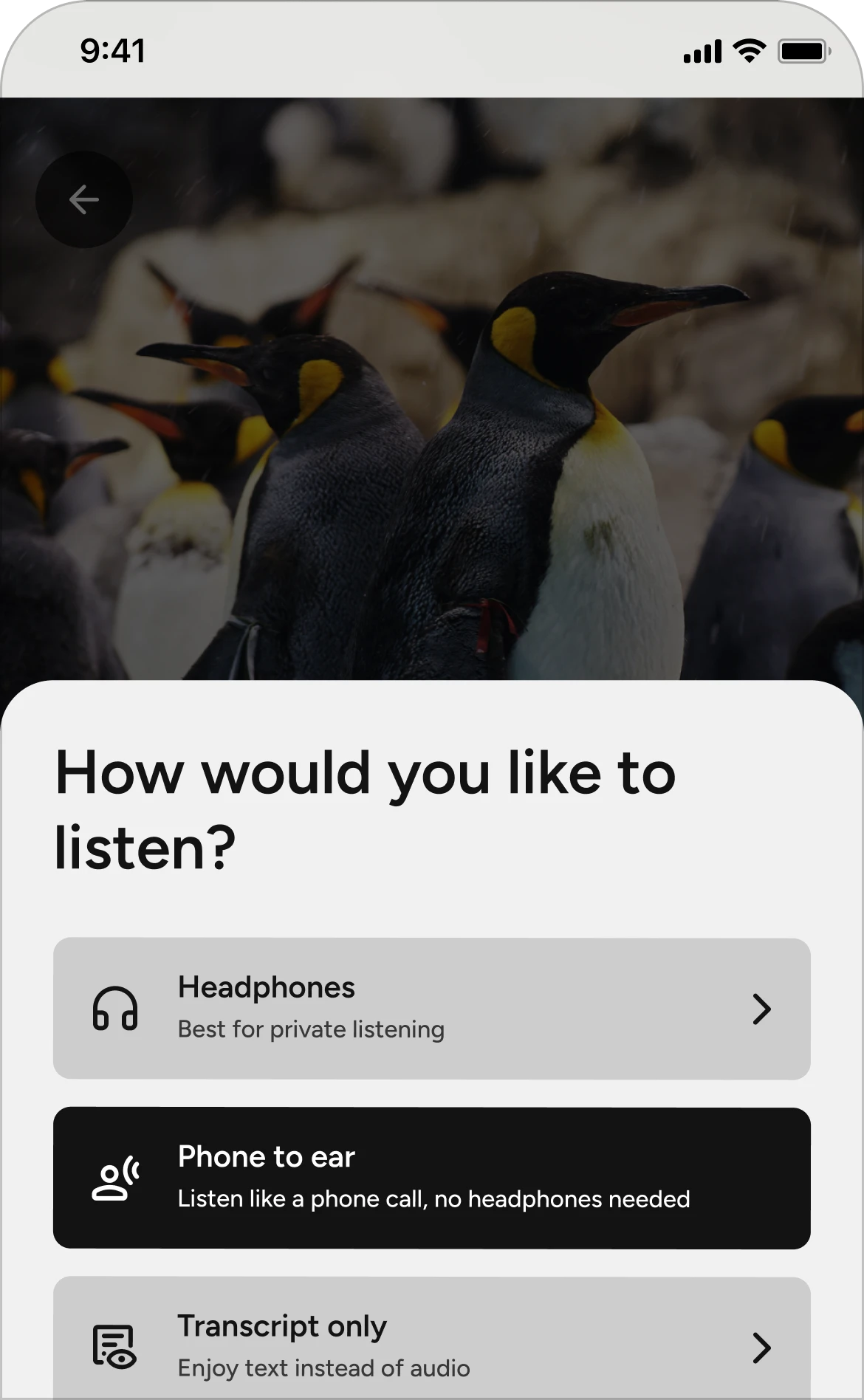Mobile interface showing Audio Access+ options during a penguin feeding session at a zoo, with choices for headphones, phone-to-ear listening, or text transcript for accessibility.