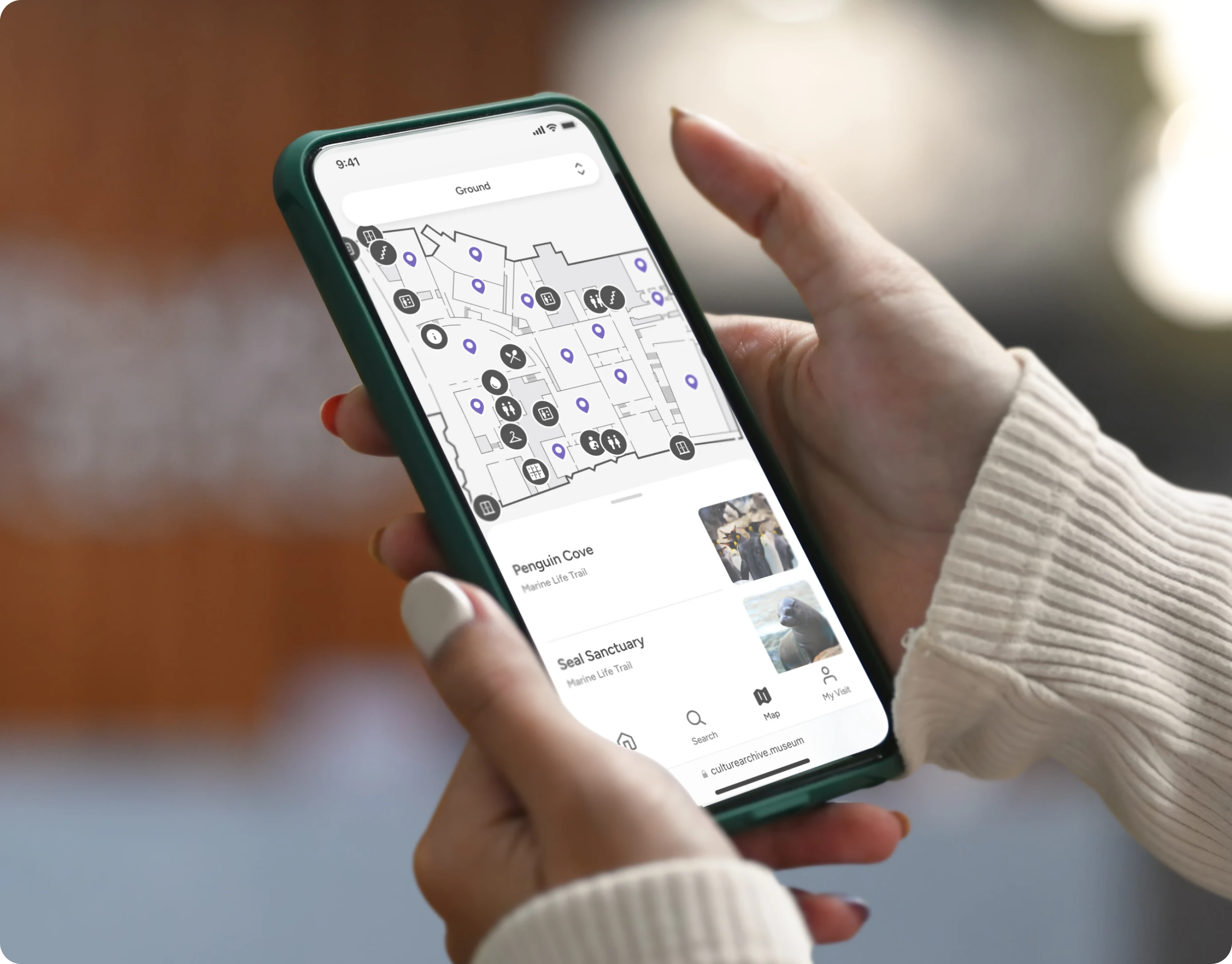 Visitor using a mobile interactive zoo map in the Pladia app, viewing the Marine Life Trail with highlighted spaces including Penguin Cove and Seal Sanctuary.