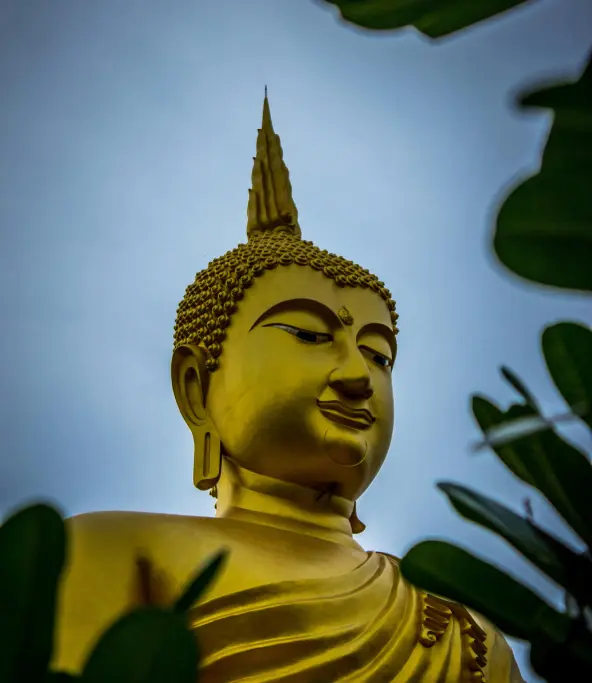 Statue de Bouddha en position de méditation, symbole de paix et de sérénité.
