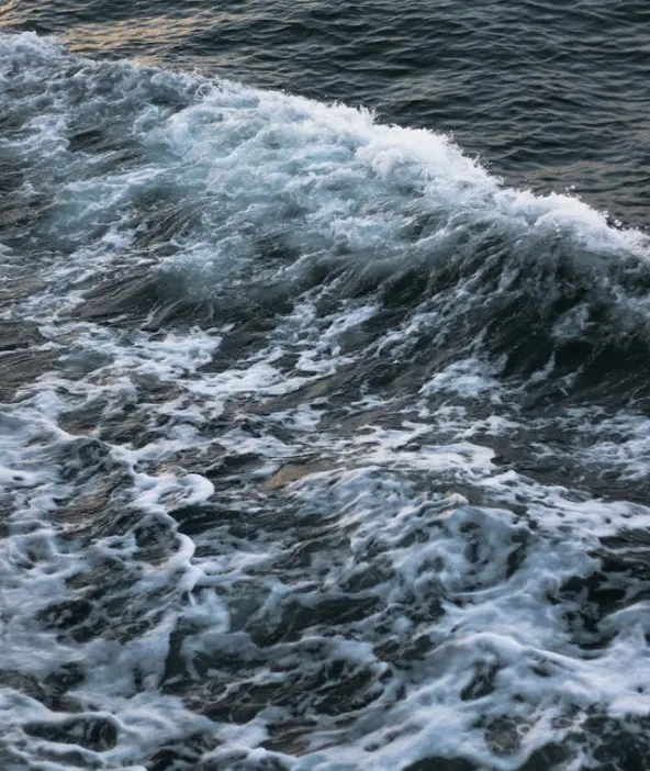 vagues