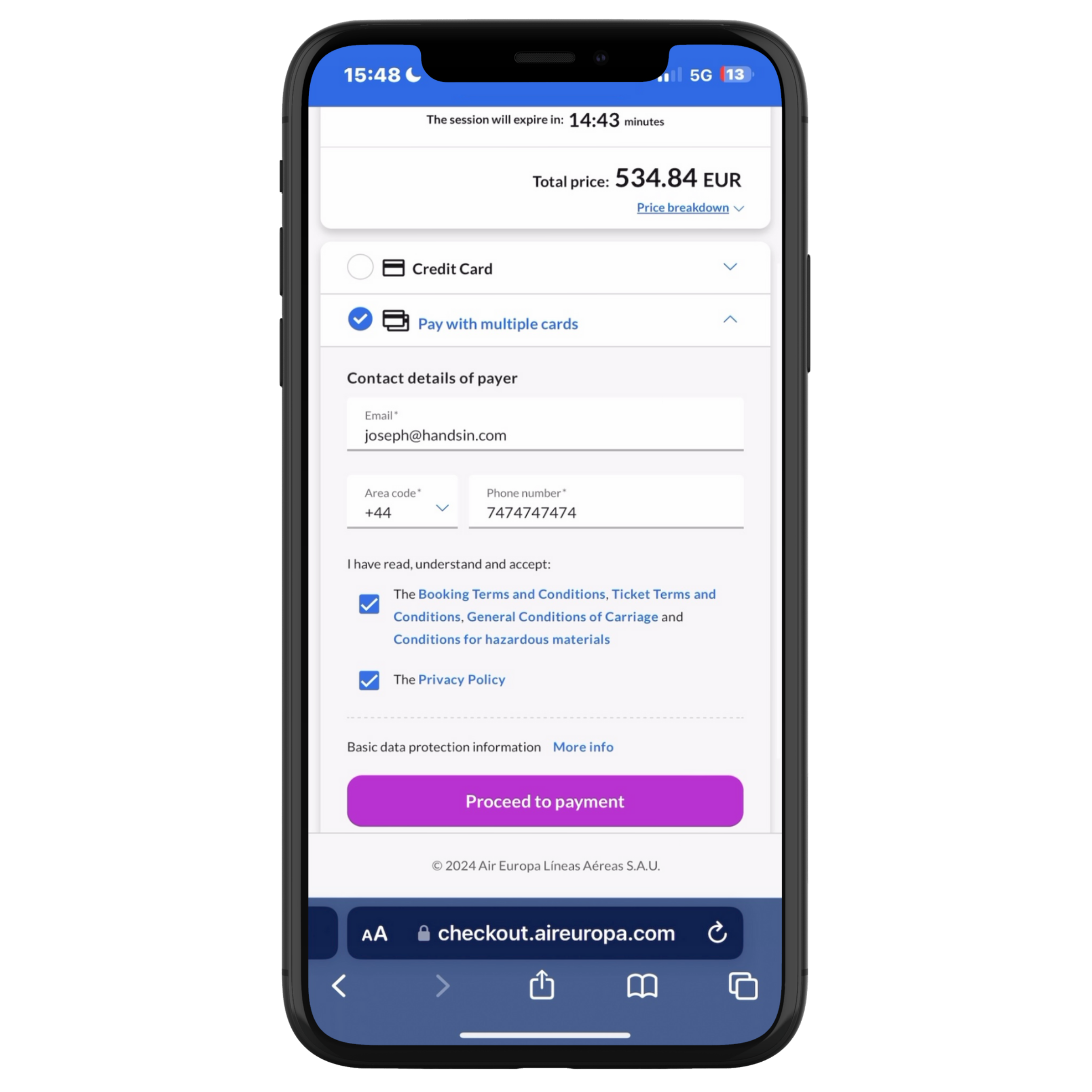 Multi-payment checkout options interface