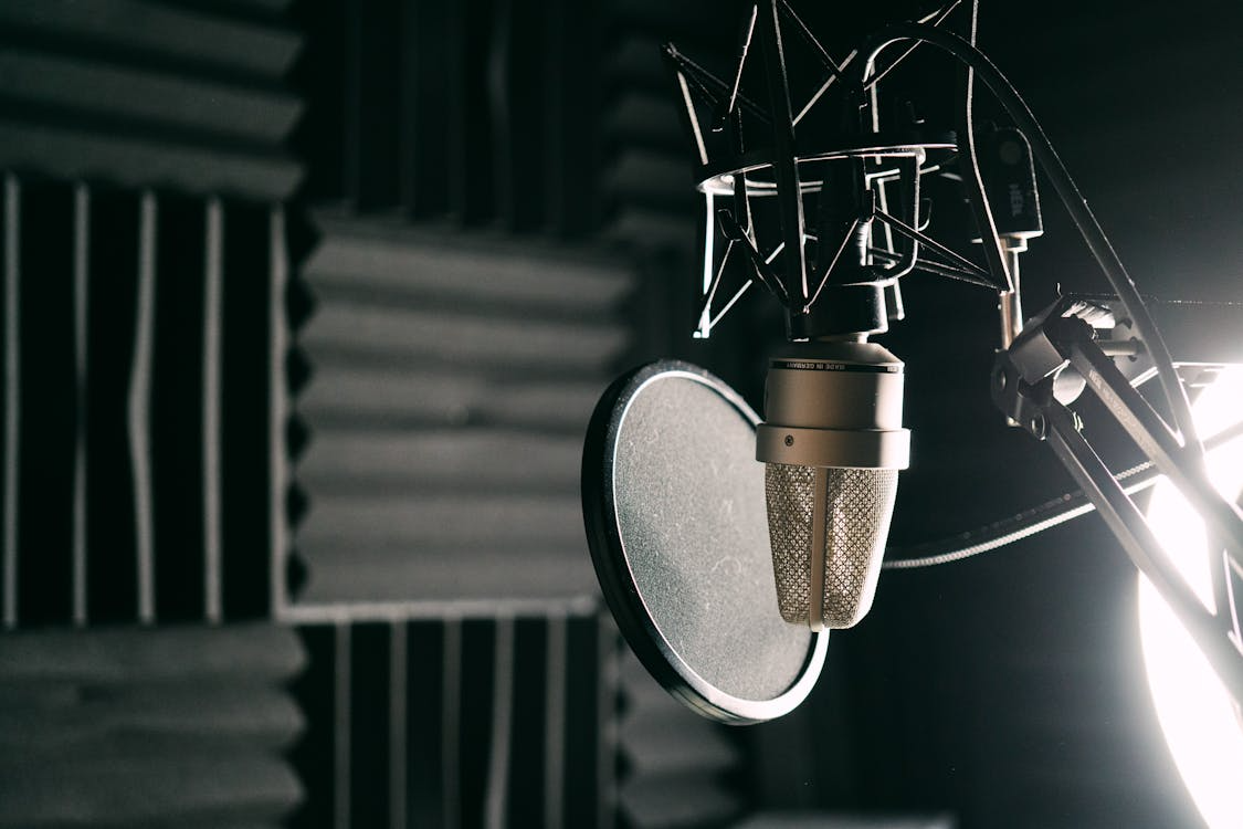 close up of a condenser microphone