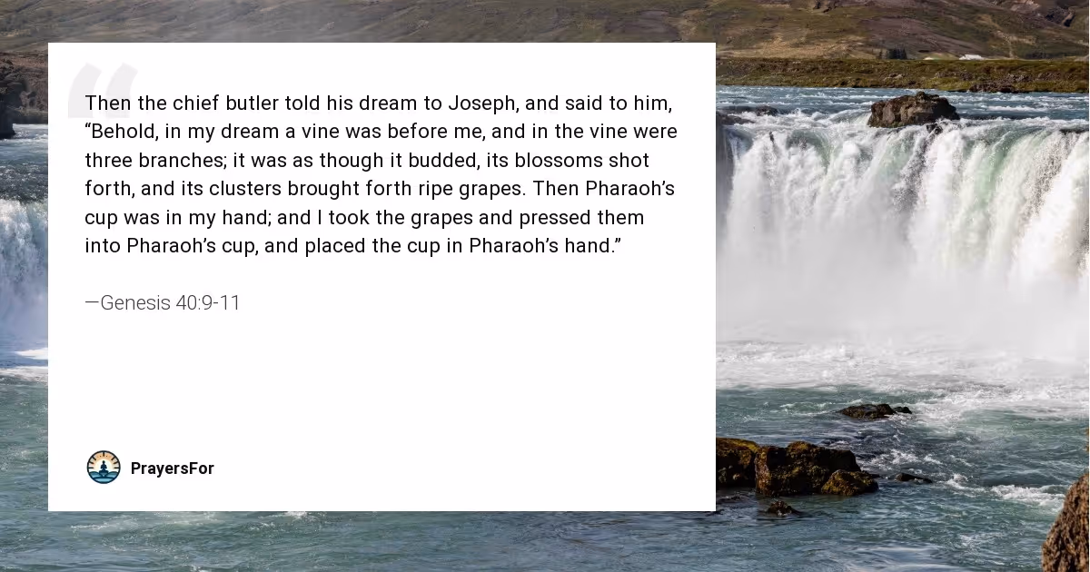 Genesis 40:9-11
