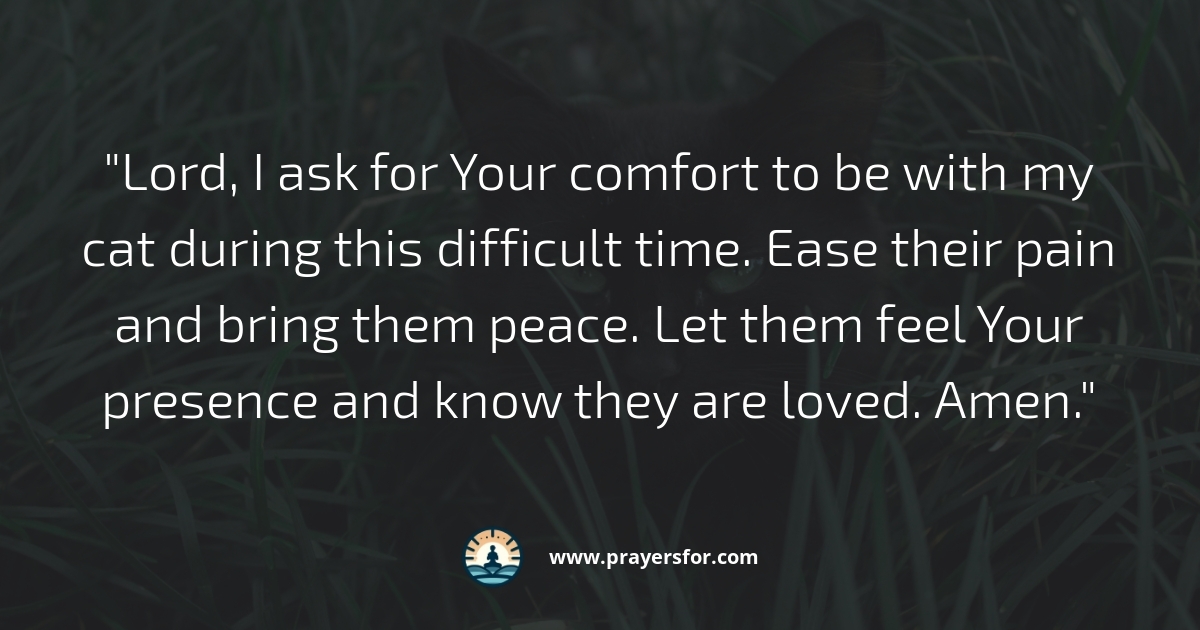 Comfort in Pain Prayer