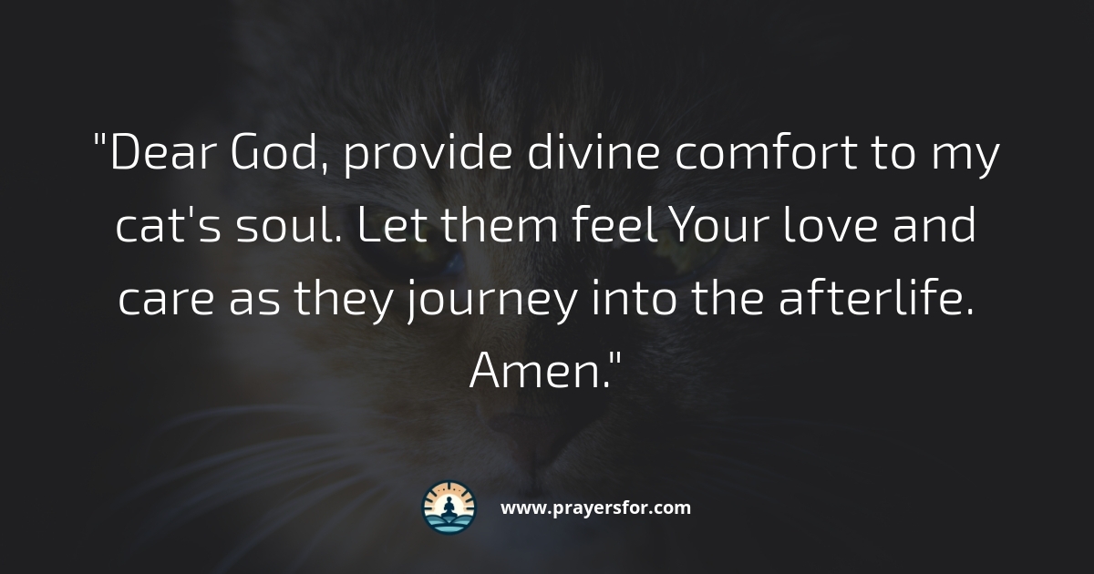Divine Comfort Prayer