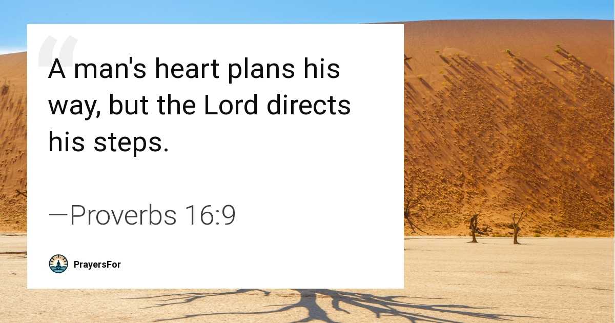 Proverbs 16:9