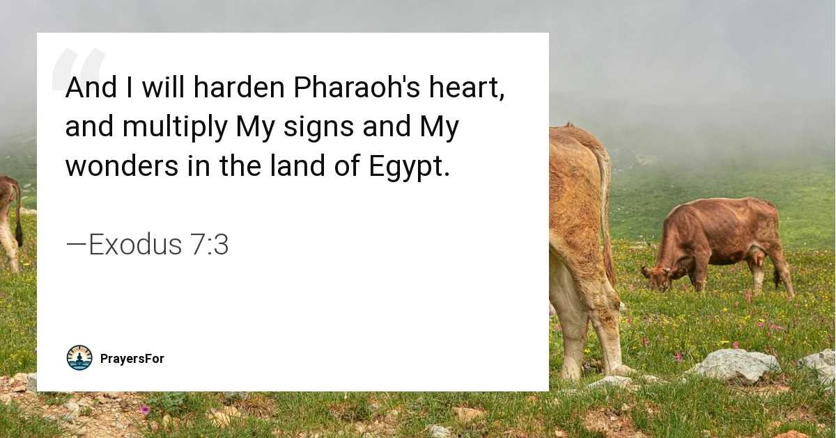 Exodus 7:3