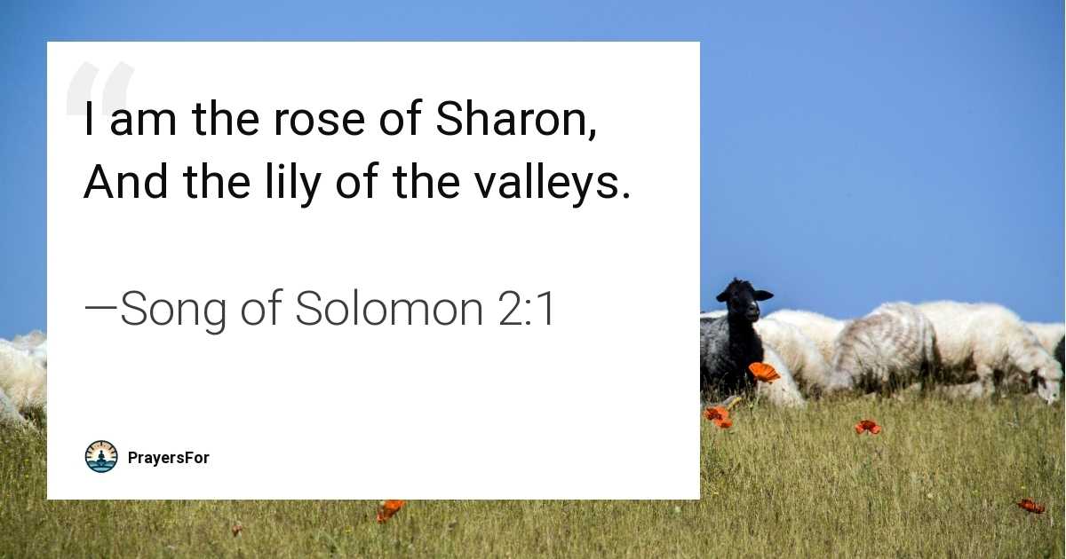 Song of Solomon 2:1