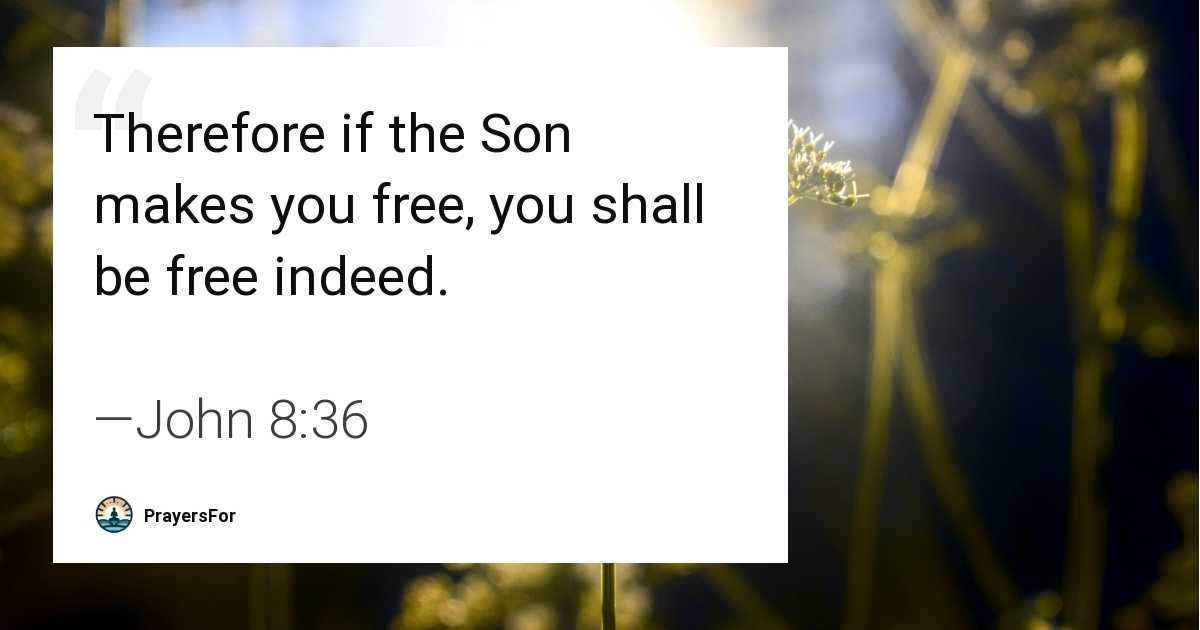 John 8:36