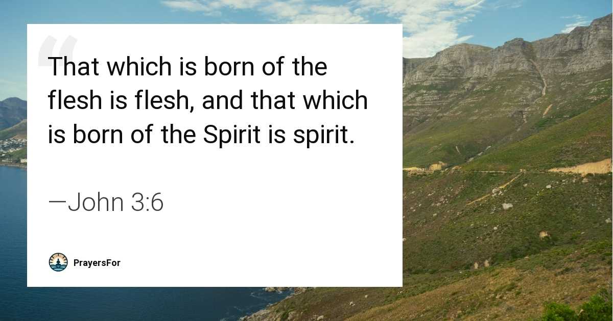 John 3:6